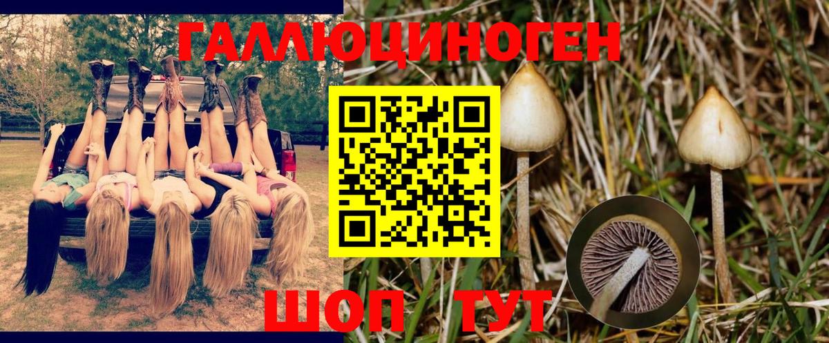 Псилоцибиновые грибы MAGIC MUSHROOMS  Галлюциногенные грибы прущие грибы  цены   Вход с VPN  Ангарск 